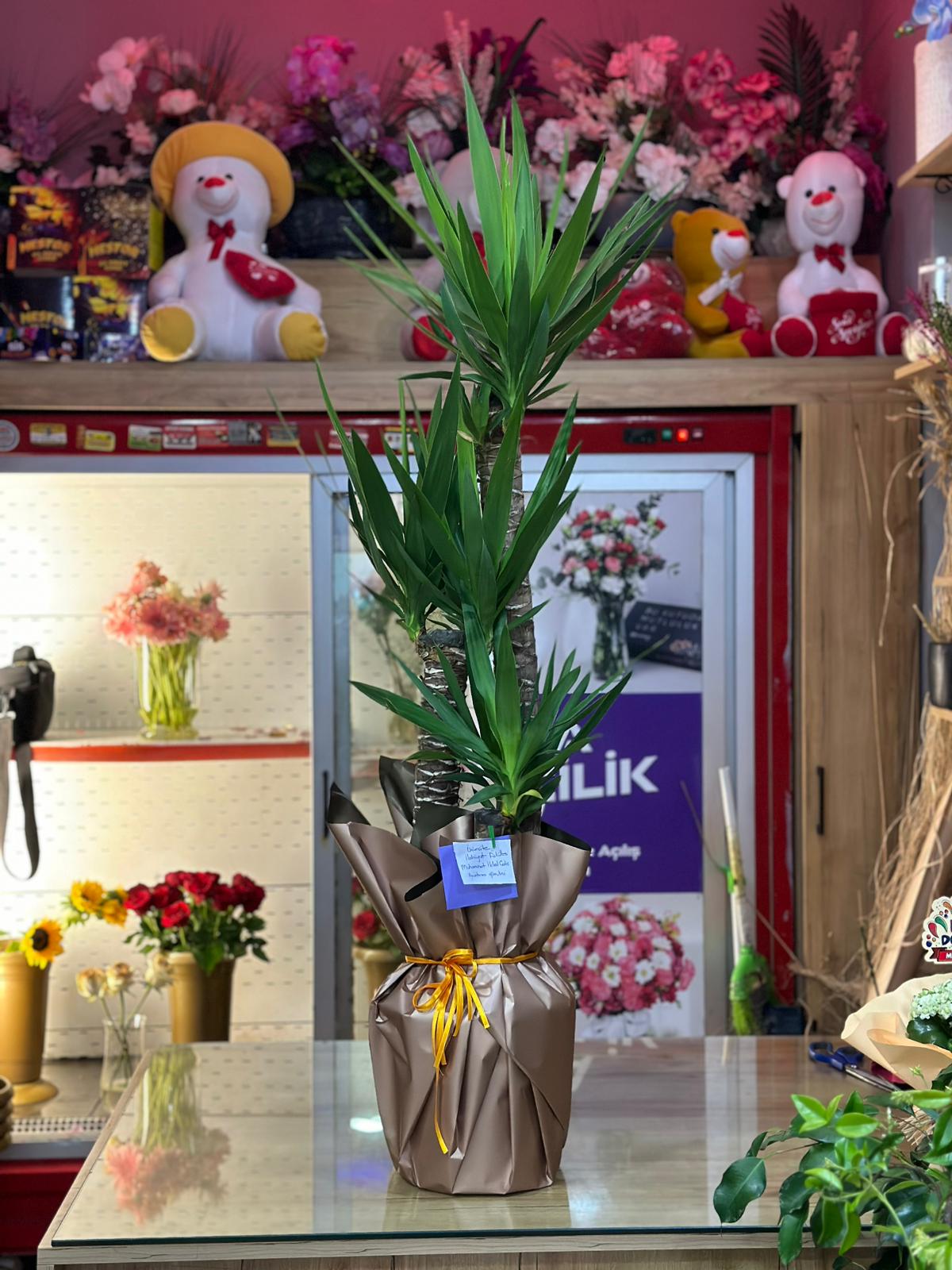 Anka Organizasyon Ve Çiçekçilik