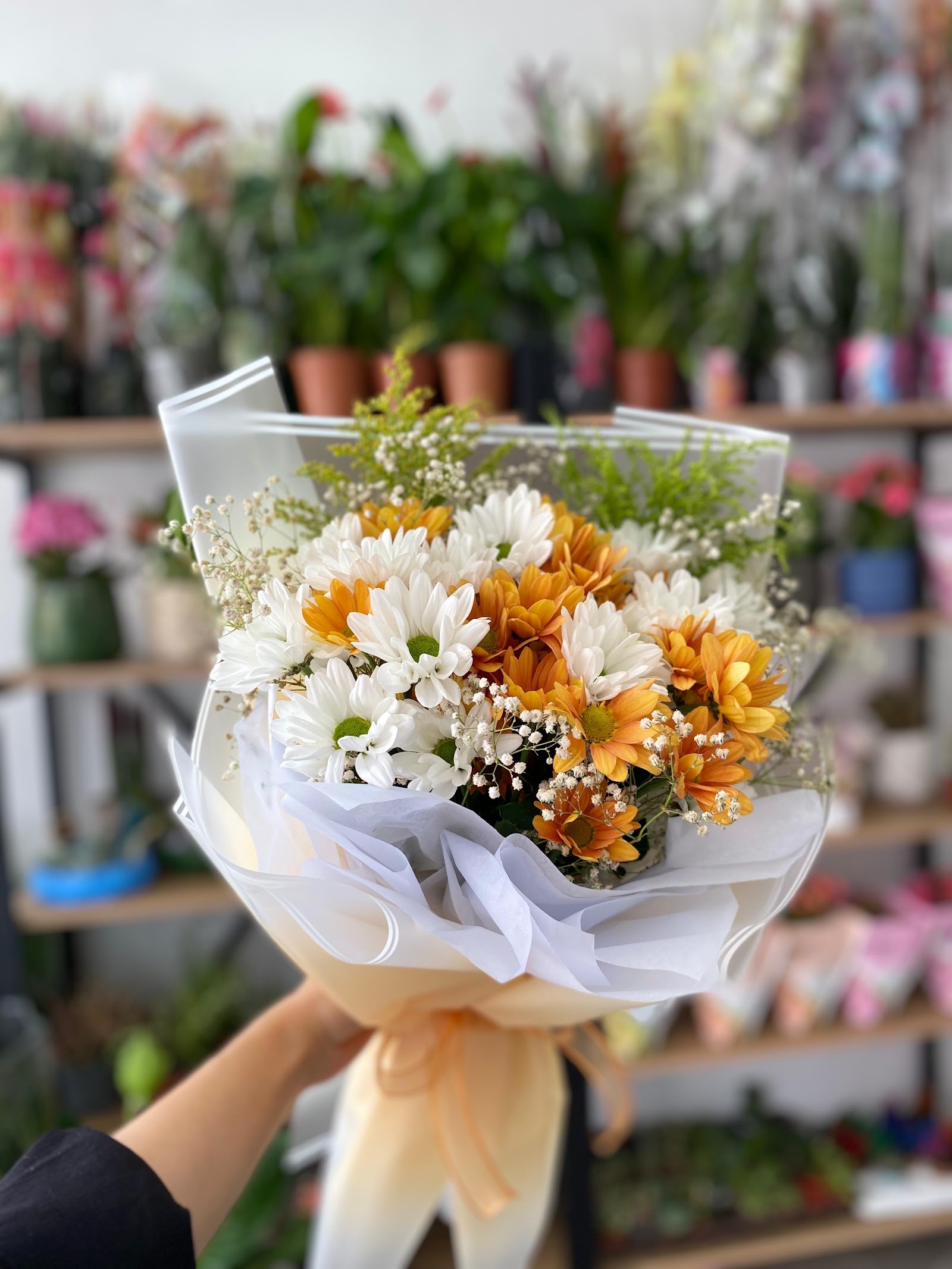 Artvin-Flora by Buket (Çiçek&Organizasyon)