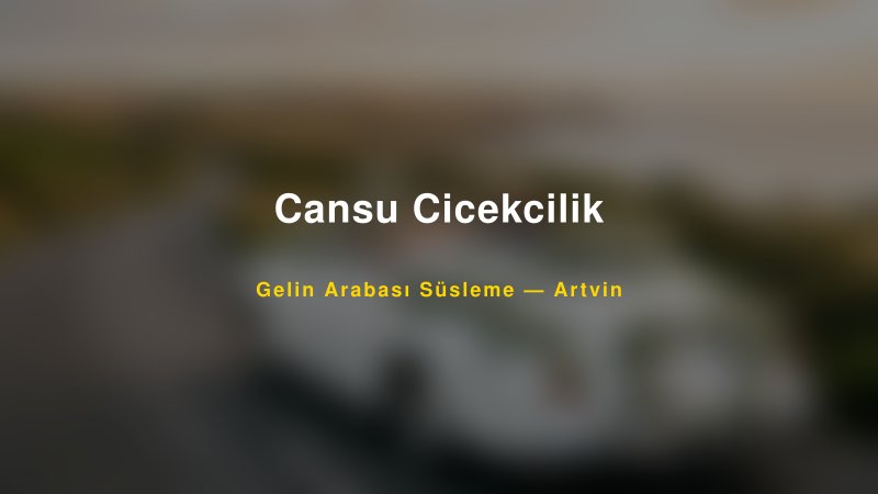Cansu Cicekcilik — Artvin Kır Düğünü Mekanı Rehberi