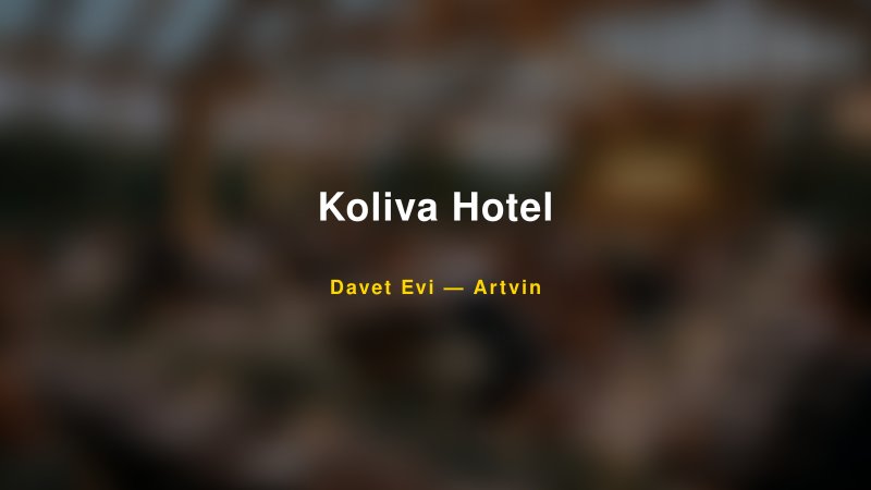 Koliva Hotel Fiyatları ve Paket Seçenekleri